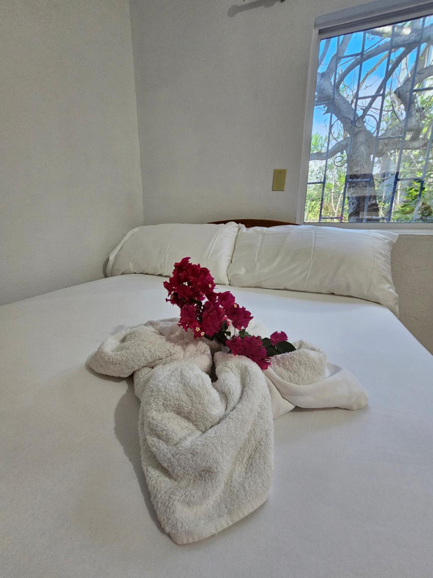 Lovely Inn San Cristóbal Ngoại thất bức ảnh